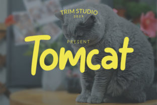 Tomcat: A Playful Typeface for Bold Visual Design
